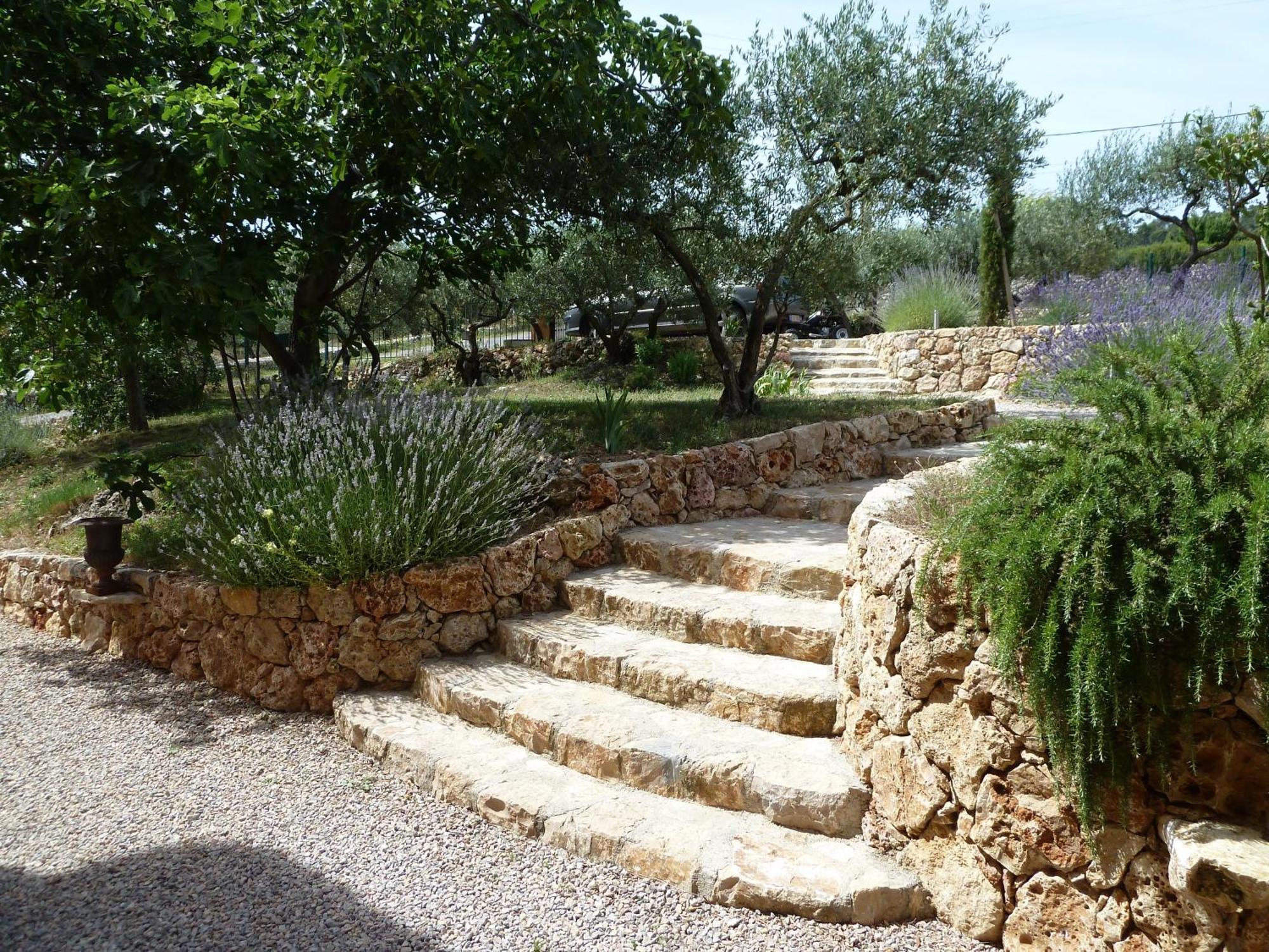 Bed and Breakfast Mas De L'Olivette Cotignac Exterior foto